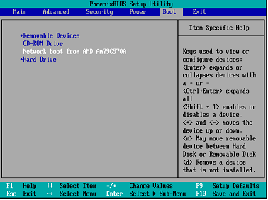 Configuring the BIOS for network boot